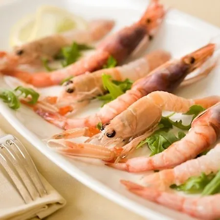 酒店 科伦坡酒店 3*