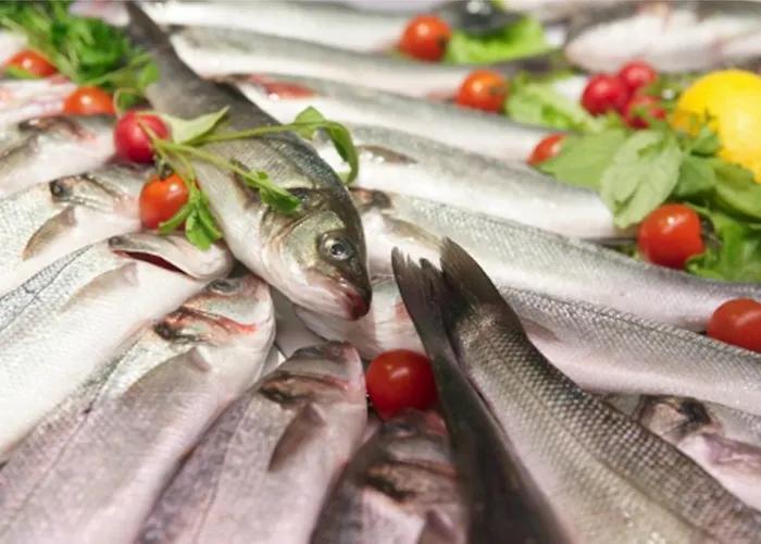 Colombo Breda di Piave